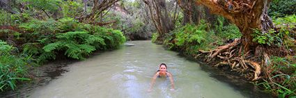 Eli Creek - Fraser Island - QLD (PB5D 00 U3A0976)